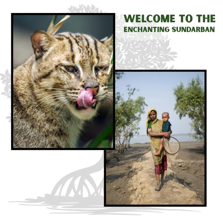 sundarban wildlife with Pother Dabi Tour & Travels